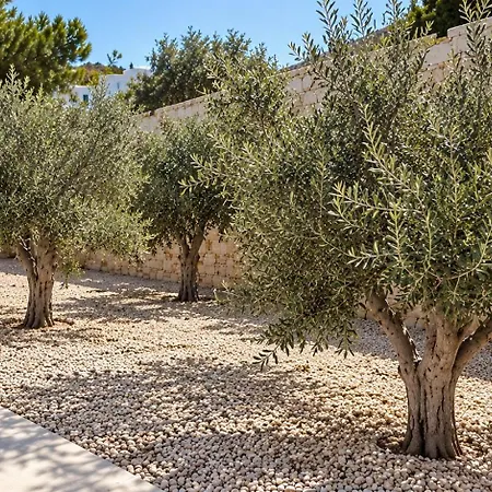 Azure Villa Paros Villa